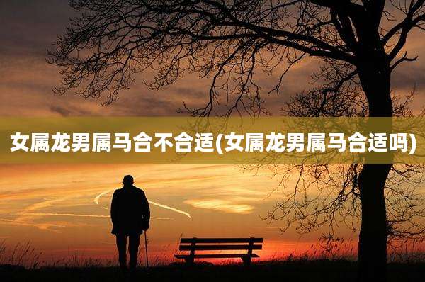 女属龙男属马合不合适(女属龙男属马合适吗)