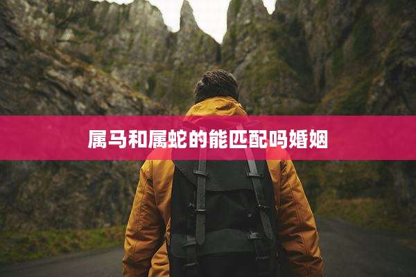 属马和属蛇的能匹配吗婚姻