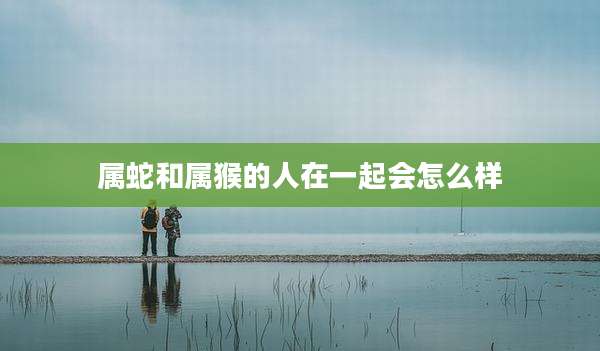 属蛇和属猴的人在一起会怎么样