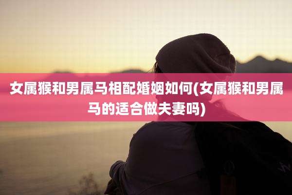 女属猴和男属马相配婚姻如何(女属猴和男属马的适合做夫妻吗)