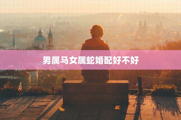 男属马女属蛇婚配好不好