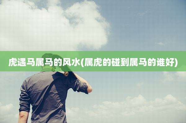 虎遇马属马的风水(属虎的碰到属马的谁好)