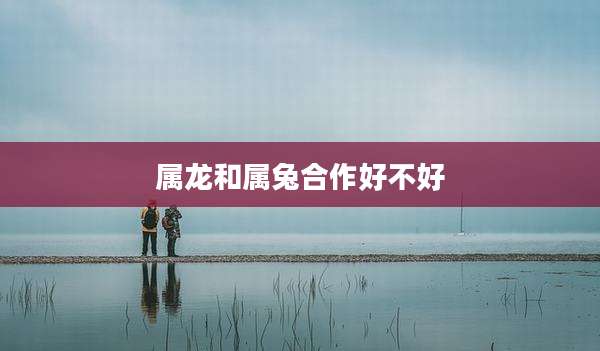 属龙和属兔合作好不好