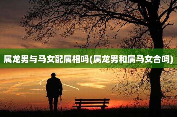属龙男与马女配属相吗(属龙男和属马女合吗)