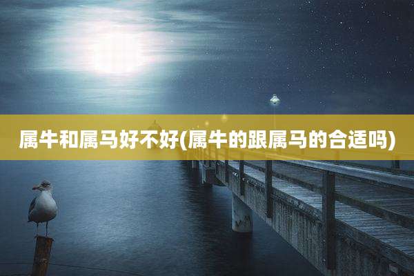 属牛和属马好不好(属牛的跟属马的合适吗)