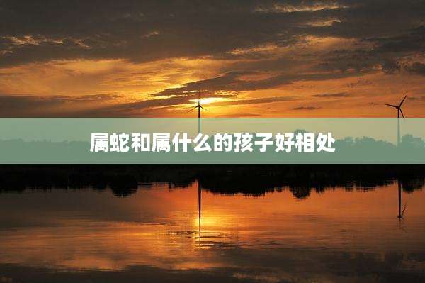 属蛇和属什么的孩子好相处