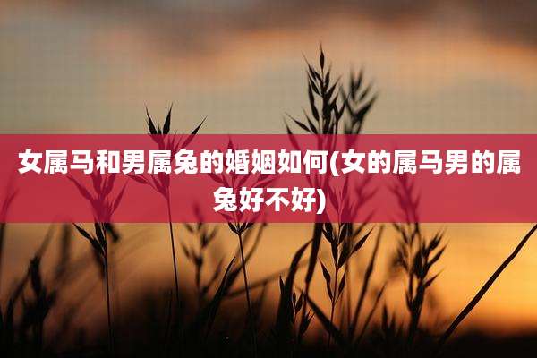 女属马和男属兔的婚姻如何(女的属马男的属兔好不好)