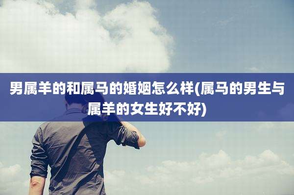男属羊的和属马的婚姻怎么样(属马的男生与属羊的女生好不好)