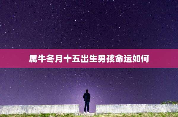 属牛冬月十五出生男孩命运如何