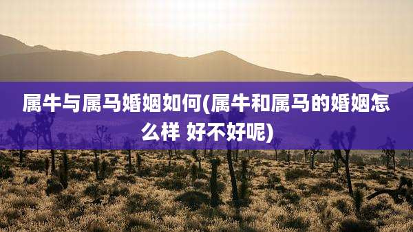 属牛与属马婚姻如何(属牛和属马的婚姻怎么样 好不好呢)