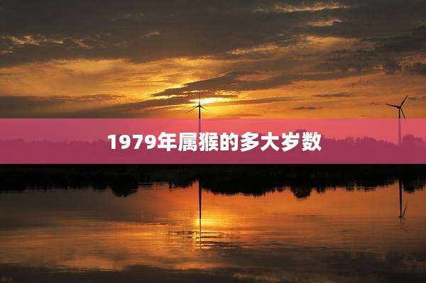 1979年属猴的多大岁数