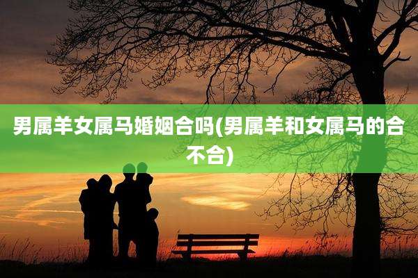男属羊女属马婚姻合吗(男属羊和女属马的合不合)