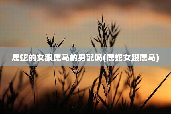 属蛇的女跟属马的男配吗(属蛇女跟属马)