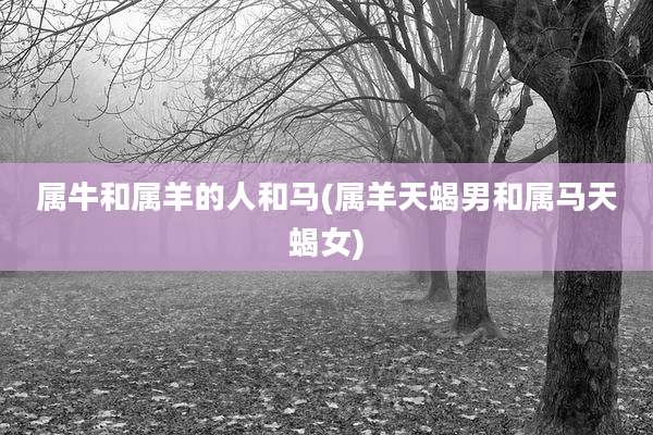 属牛和属羊的人和马(属羊天蝎男和属马天蝎女)
