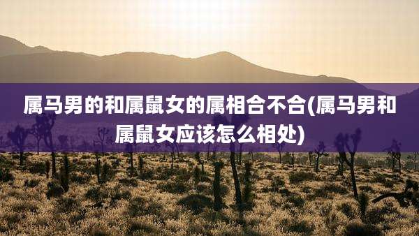 属马男的和属鼠女的属相合不合(属马男和属鼠女应该怎么相处)