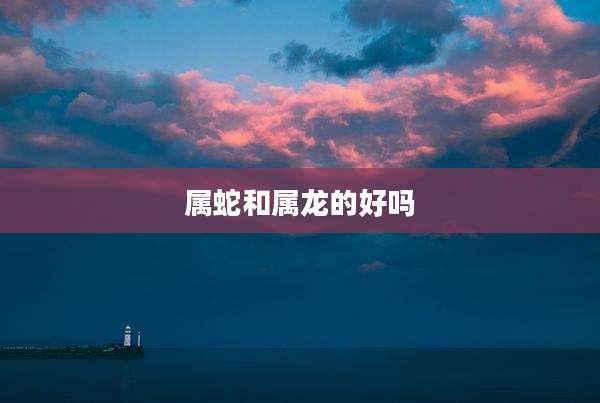 属蛇和属龙的好吗