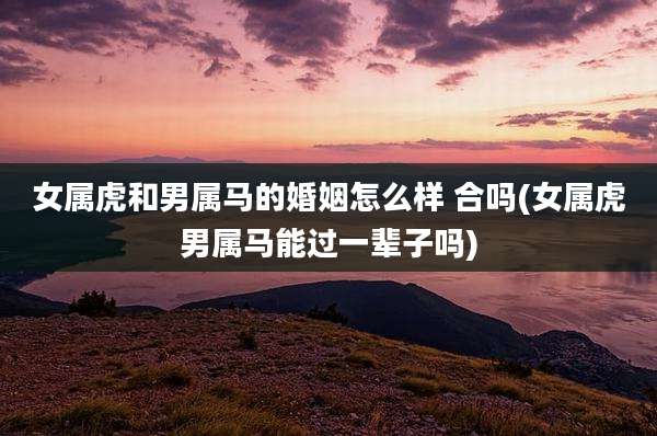 女属虎和男属马的婚姻怎么样 合吗(女属虎男属马能过一辈子吗)