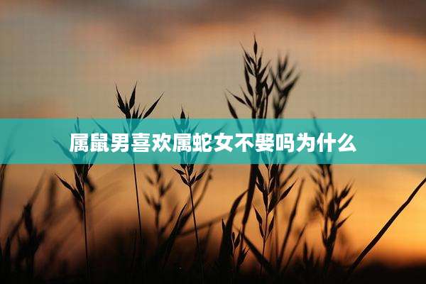 属鼠男喜欢属蛇女不娶吗为什么