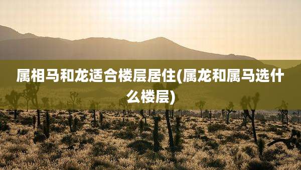 属相马和龙适合楼层居住(属龙和属马选什么楼层)