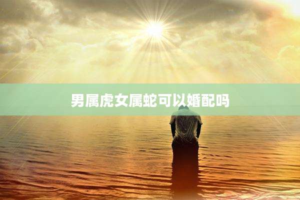男属虎女属蛇可以婚配吗
