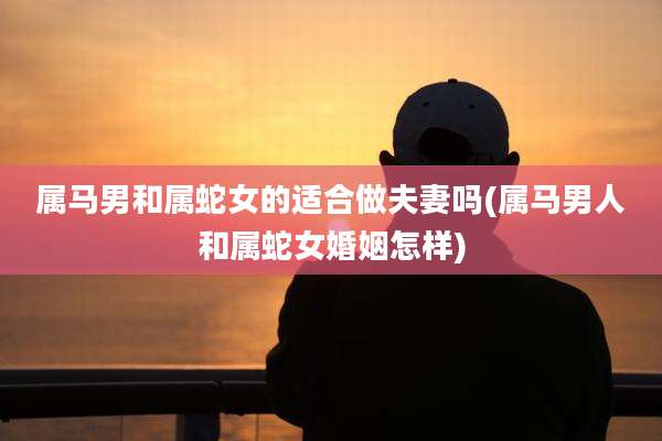 属马男和属蛇女的适合做夫妻吗(属马男人和属蛇女婚姻怎样)