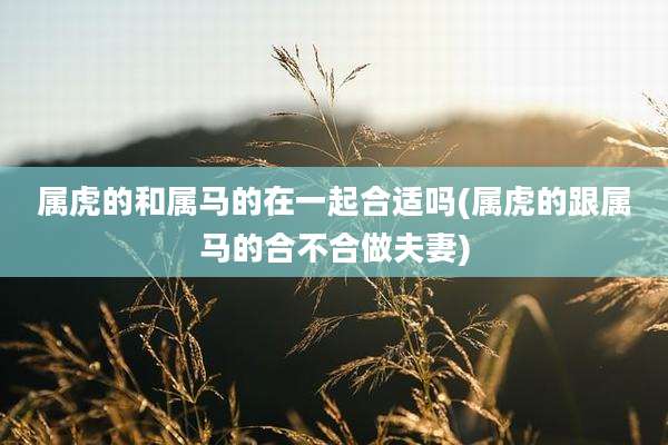 属虎的和属马的在一起合适吗(属虎的跟属马的合不合做夫妻)