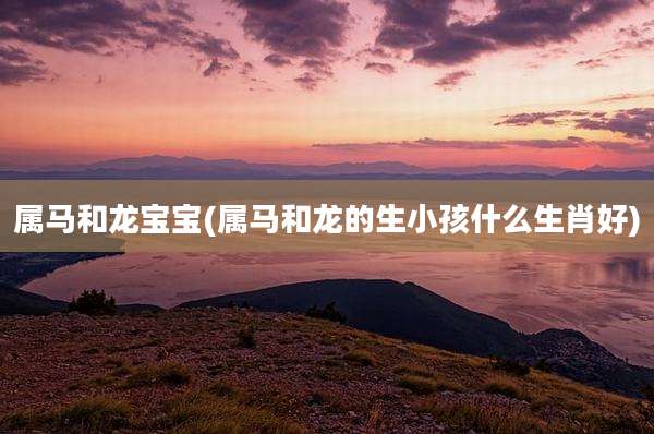 属马和龙宝宝(属马和龙的生小孩什么生肖好)