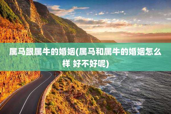 属马跟属牛的婚姻(属马和属牛的婚姻怎么样 好不好呢)
