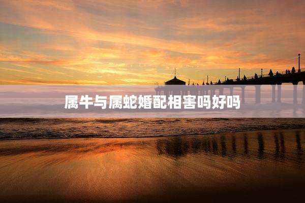 属牛与属蛇婚配相害吗好吗