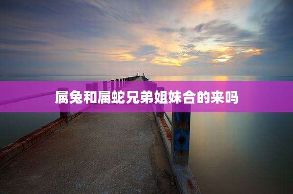 属兔和属蛇兄弟姐妹合的来吗