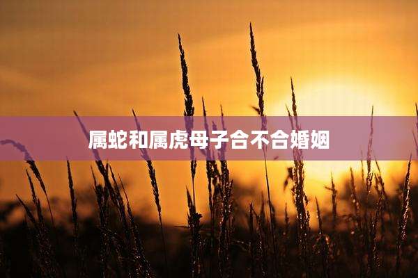 属蛇和属虎母子合不合婚姻