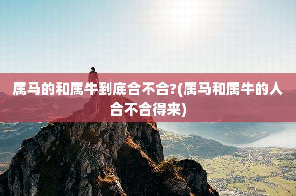 属马的和属牛到底合不合?(属马和属牛的人合不合得来)