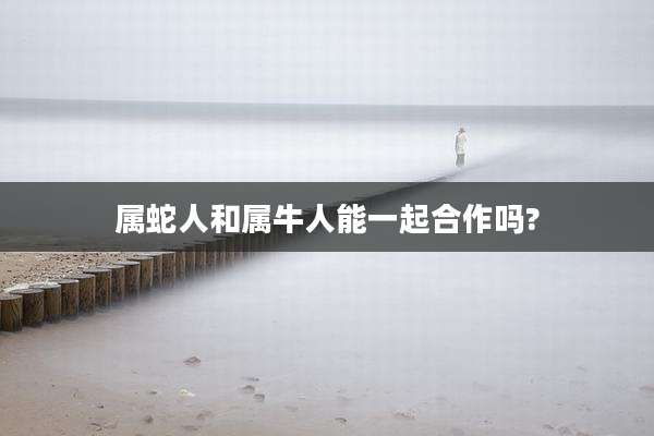 属蛇人和属牛人能一起合作吗?