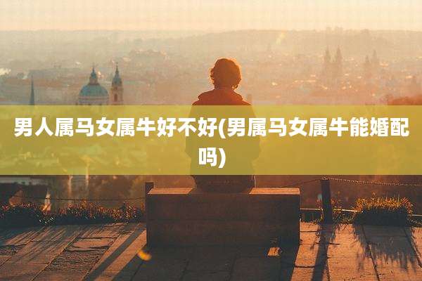 男人属马女属牛好不好(男属马女属牛能婚配吗)
