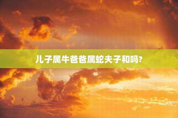 儿子属牛爸爸属蛇夫子和吗?