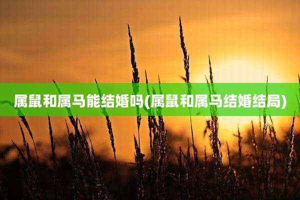 属鼠和属马能结婚吗(属鼠和属马结婚结局)