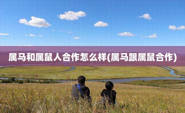 属马和属鼠人合作怎么样(属马跟属鼠合作)