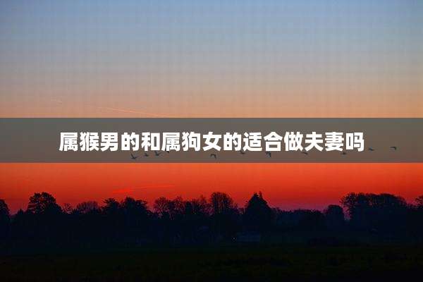 属猴男的和属狗女的适合做夫妻吗