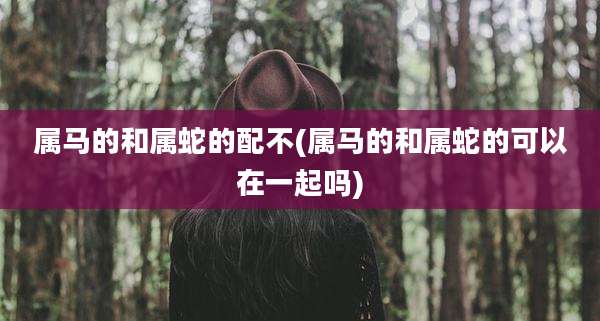 属马的和属蛇的配不(属马的和属蛇的可以在一起吗)