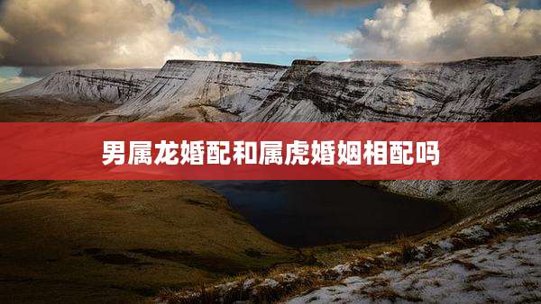 男属龙婚配和属虎婚姻相配吗