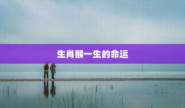 生肖猴一生的命运