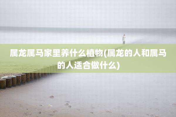 属龙属马家里养什么植物(属龙的人和属马的人适合做什么)