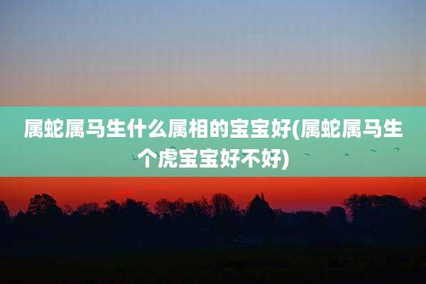 属蛇属马生什么属相的宝宝好(属蛇属马生个虎宝宝好不好)
