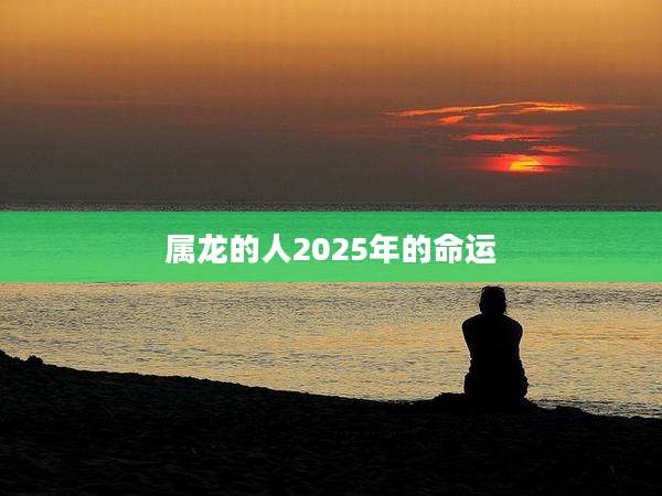 属龙的人2025年的命运