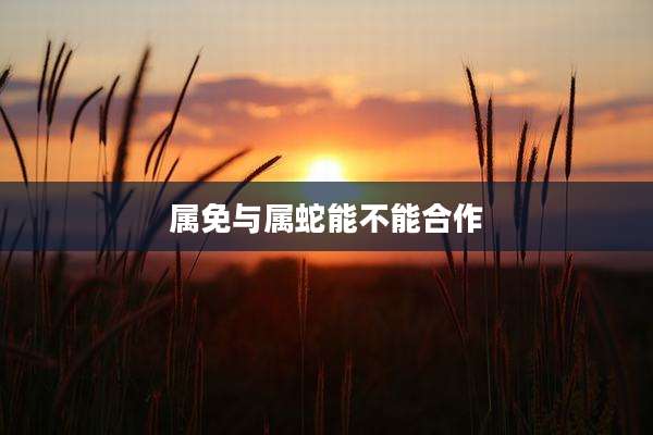 属免与属蛇能不能合作