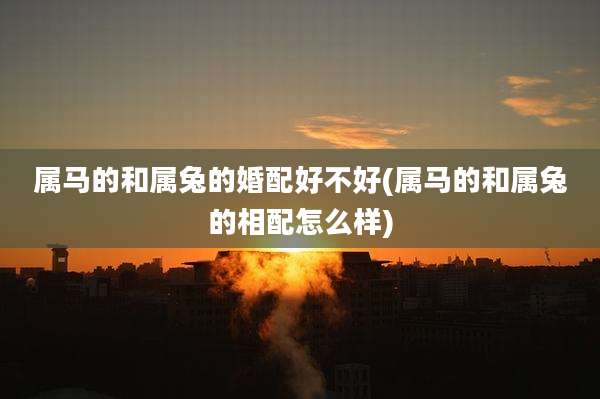属马的和属兔的婚配好不好(属马的和属兔的相配怎么样)