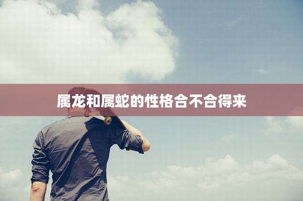 属龙和属蛇的性格合不合得来
