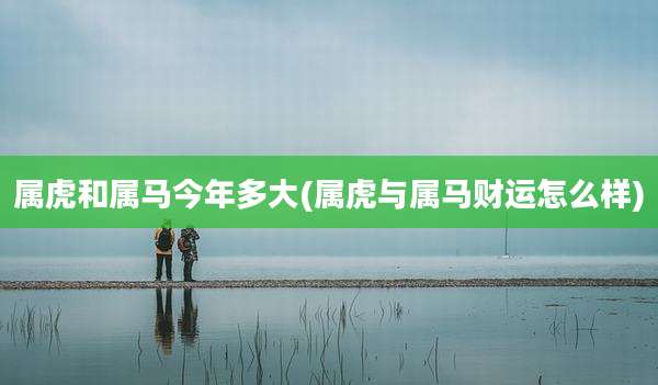 属虎和属马今年多大(属虎与属马财运怎么样)