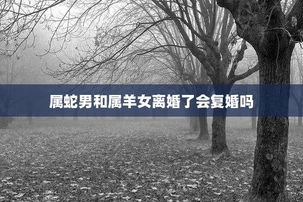 属蛇男和属羊女离婚了会复婚吗