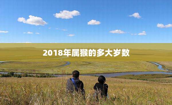 2018年属猴的多大岁数